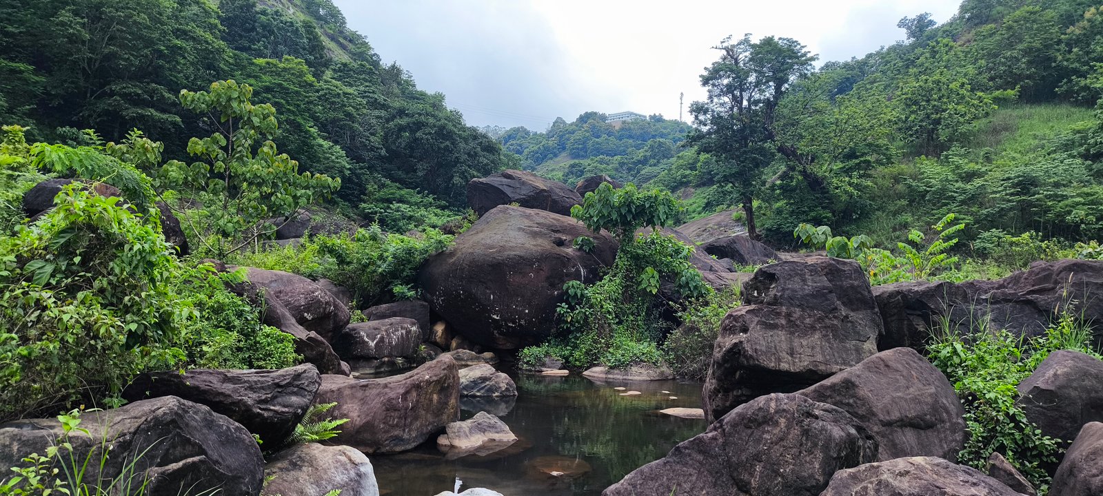 Cheruthoni Dam